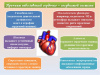 10 правил для сохранения здоровья сердца.