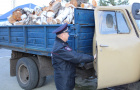 В Варненском районе полицейский задержал незаконного лесоруба