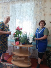 Зеленые друзья на подоконнике