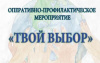 Полицейские проводят оперативно-профилактическое мероприятие «Твой выбор»