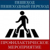 Сотрудники Госавтоинспекции с 14 по 20 марта проводят мероприятия по профилактике наездов на пешеходов