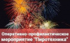 Сотрудники полиции подвели итоги оперативно-профилактического мероприятия «Пиротехника»