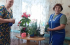 Зеленые друзья на подоконнике