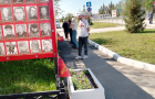 Музей под открытым небом «Победа, какой не и знала история»